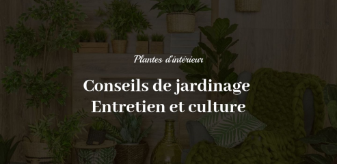 https://www.latelierfleursetdeco.fr